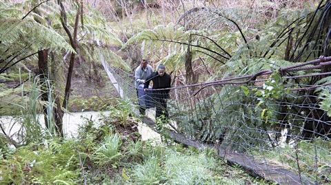 Swing-Bridge-1