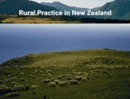 Rural Practice Around the World 005