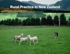 Rural Practice Around the World 026