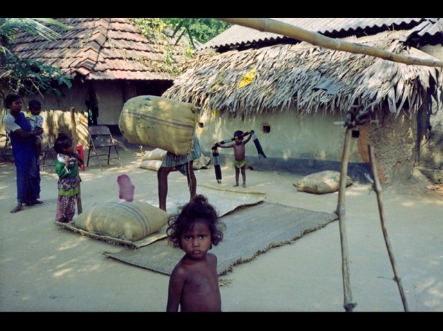 Global Immunisation Slide 045