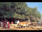 Developing Family Medicine in Regions of Extreme Need 063