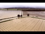Marooned in Matawai 006