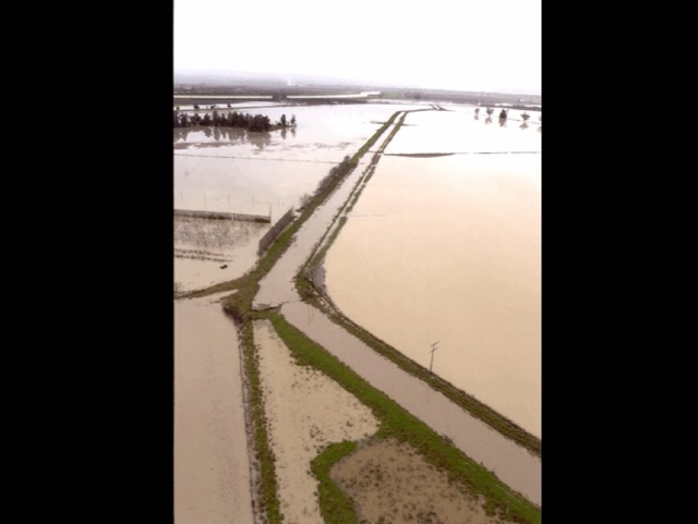 Marooned in Matawai 011