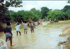 Journeys through Rural General Practice Slide 101