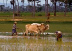 Journeys through Rural General Practice Slide 124